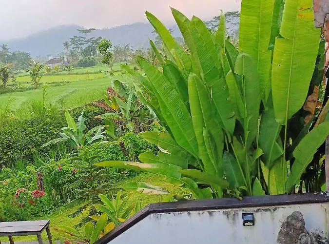 Jero Tumbuk Private Villa