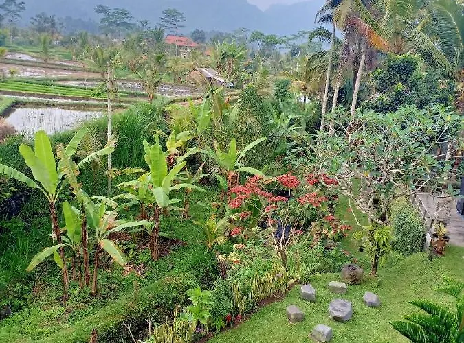 Jero Tumbuk Private Villa