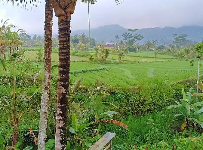 Jero Tumbuk Private Villa