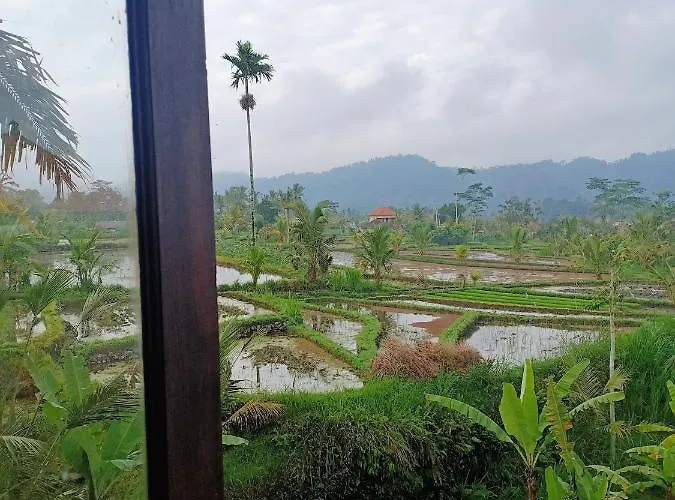 Jero Tumbuk Private Villa