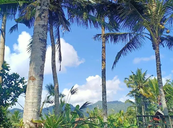 Villa Jero Tumbuk Private Selat