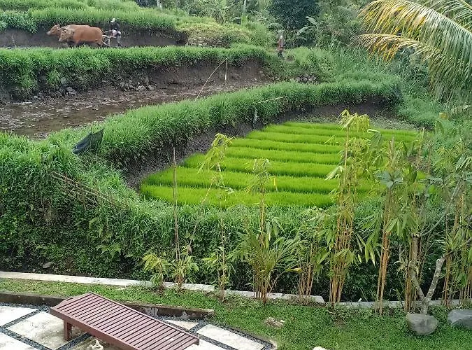 Villa Jero Tumbuk Private *