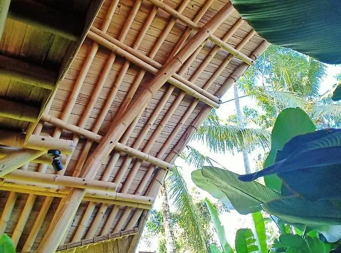 Villa Jero Tumbuk Private Selat
