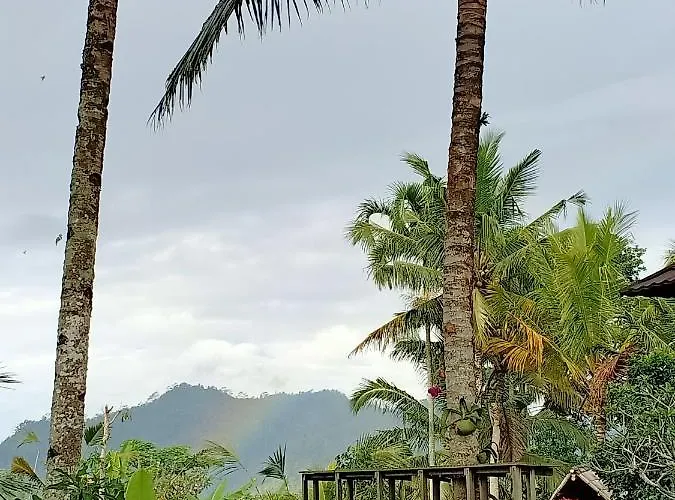 Villa Jero Tumbuk Private Selat