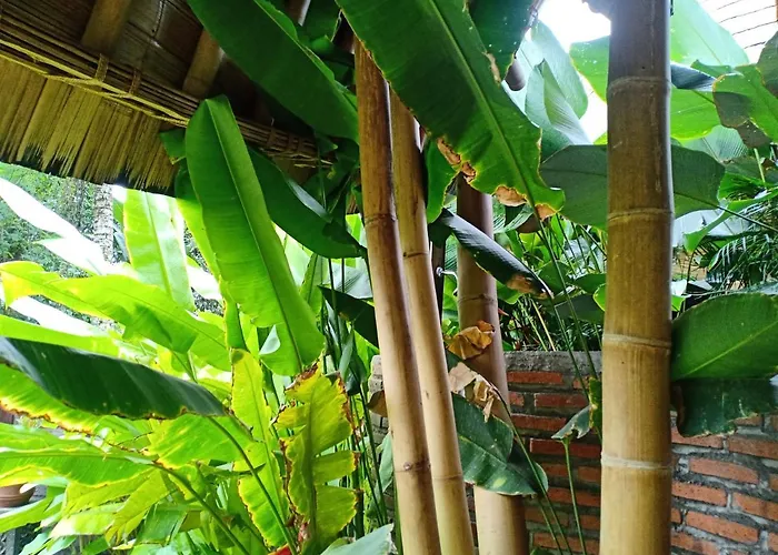 Villa Jero Tumbuk Private *