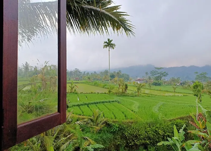 Villa Jero Tumbuk Private