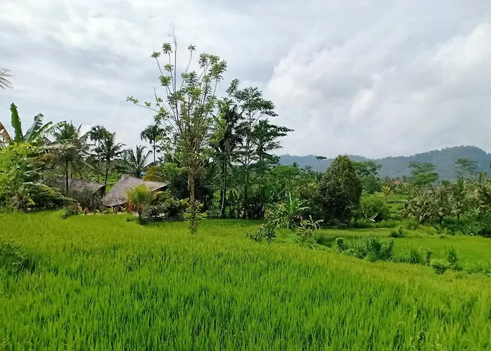 Villa Jero Tumbuk Private