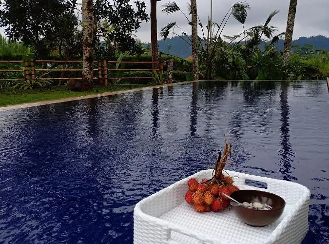 Jero Tumbuk Private Villa *