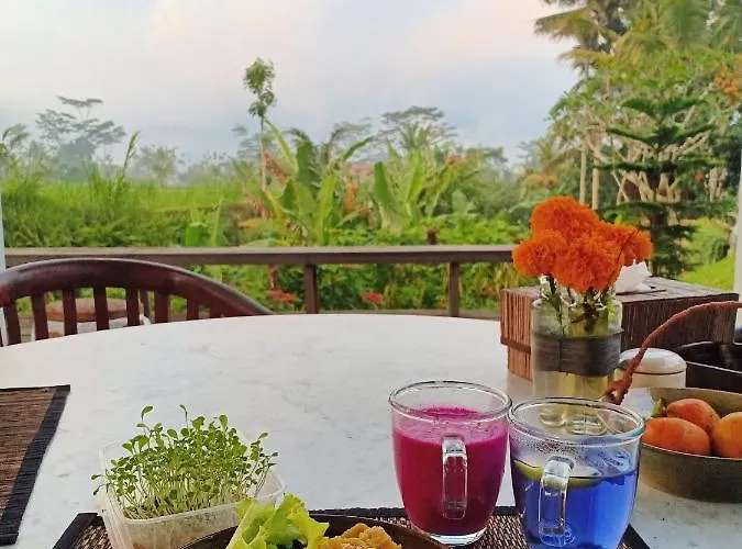 Villa Jero Tumbuk Private Selat
