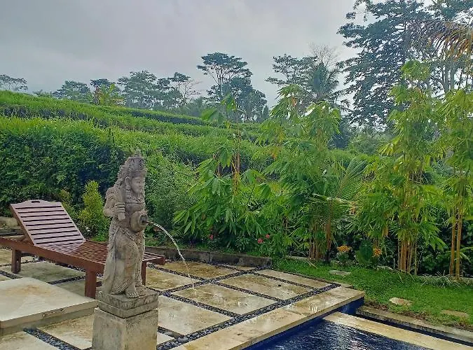 Villa Jero Tumbuk Private Selat