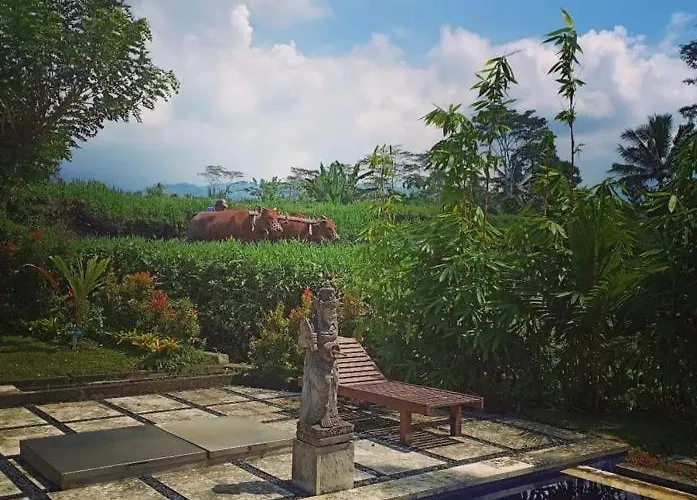 Villa Jero Tumbuk Private *