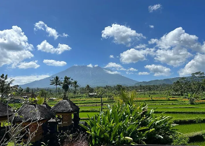 Villa Jero Tumbuk Private Selat