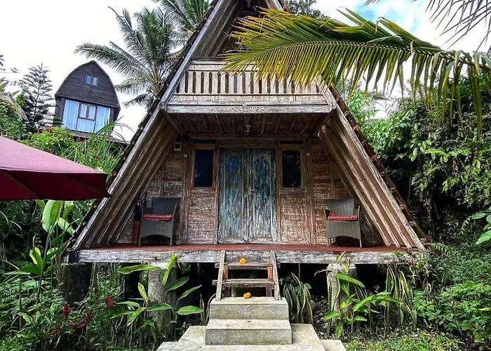 Villa Jero Tumbuk Private *